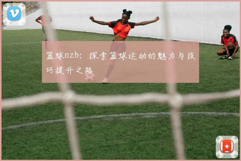篮球nzb：探索篮球运动的魅力与技巧提升之路