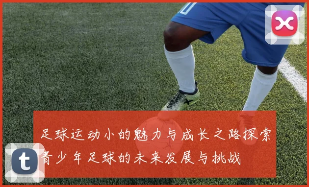 足球运动小的魅力与成长之路探索青少年足球的未来发展与挑战
