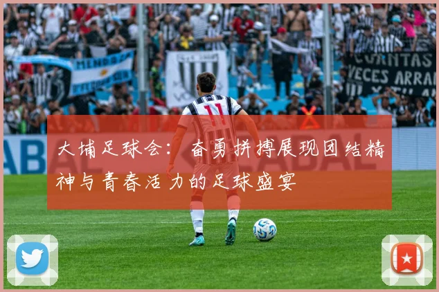 大埔足球会：奋勇拼搏展现团结精神与青春活力的足球盛宴