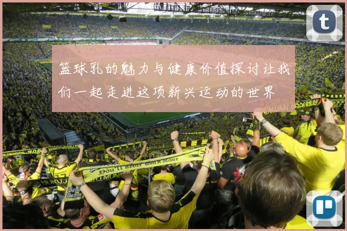 篮球乳的魅力与健康价值探讨让我们一起走进这项新兴运动的世界