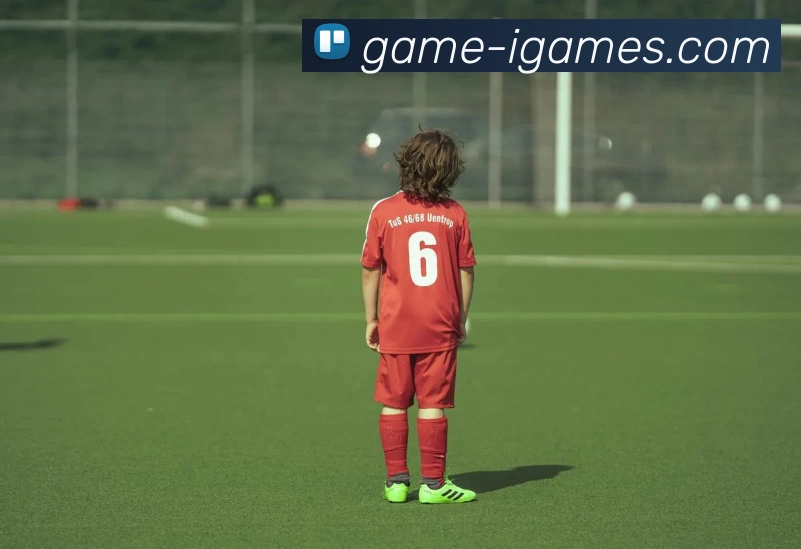 爱游戏官网平台生态图